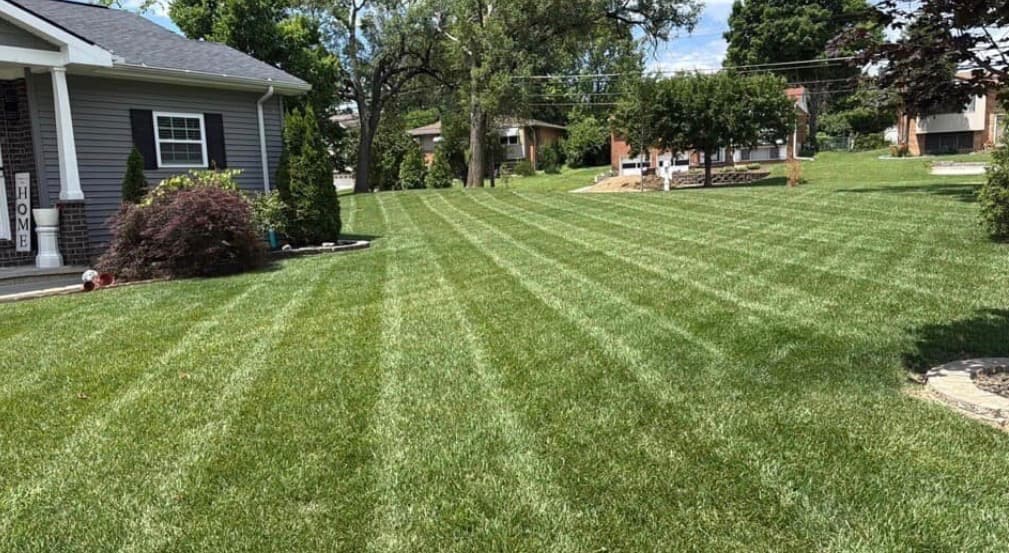 Our work