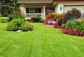 Our work